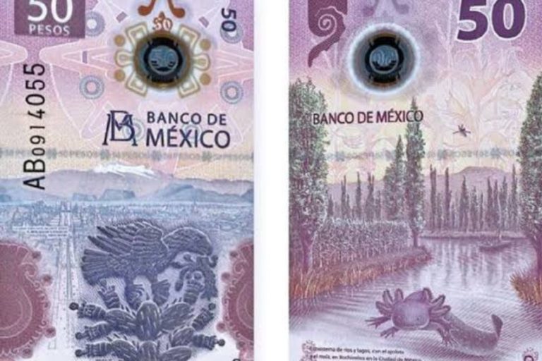 Billete De Pesos Con Imagen De Ajolote Es Premiado Regeneraci Nmx