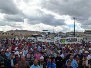 El día de ayer en Chihuahua, más de 3 mil productores marcharon a la SAGARPA en la capital del estado, en exigencia de una solución. FOTO: O. Domínguez.