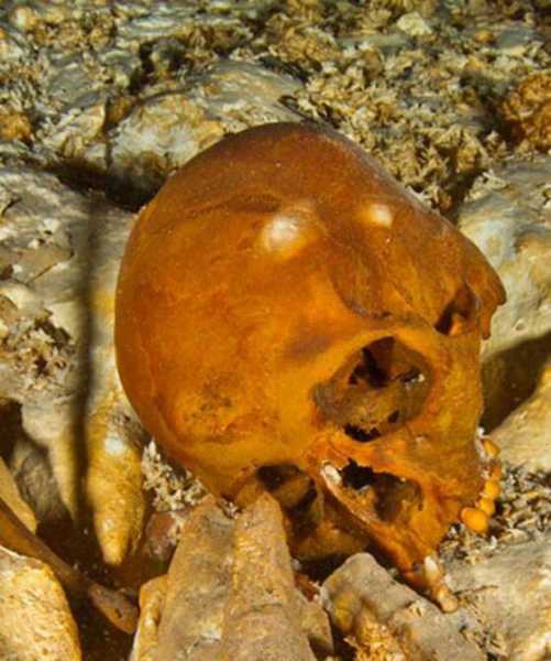 El cráneo de "Naia" fue encontrado por espeleólogos en una caverna de Tulum Foto: HoraCero
