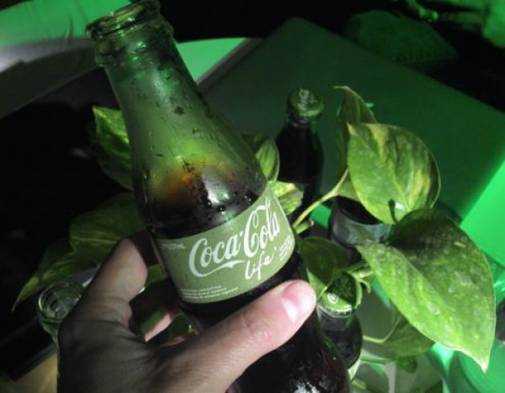 La_mentira_de_la_Coca_Cola_saludable_por_contener_Stevia_en_sus_ingredientes
