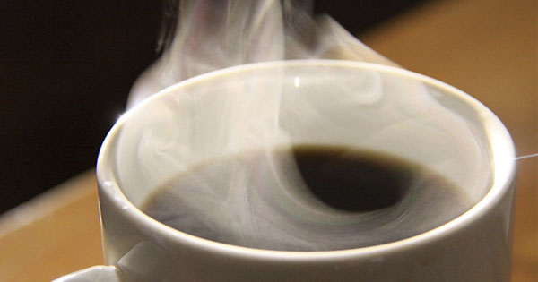 café cafeína bebidas calientes