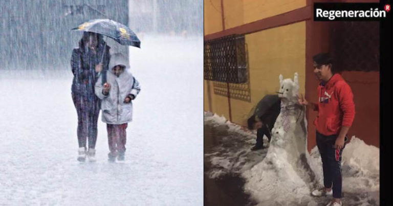 Granizo en la Ciudad de México causa caída de bardas y árboles