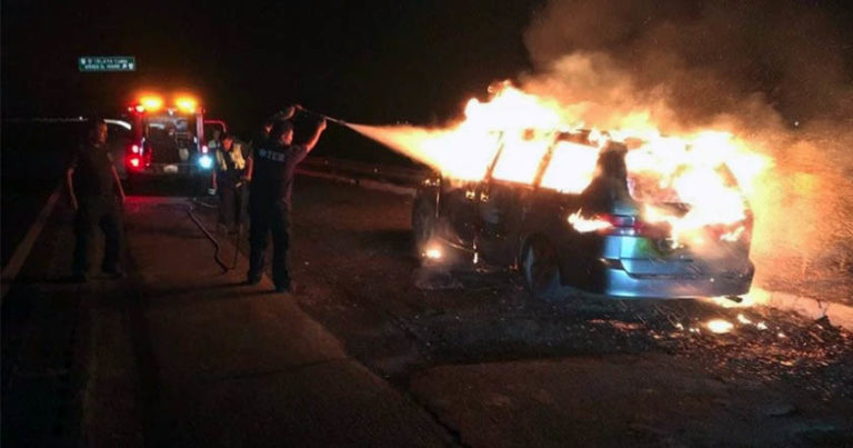 guanajuato violencia