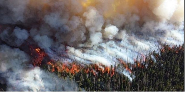 Siberia arde