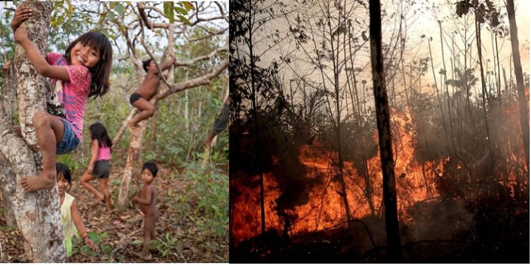 Brasil, incendios