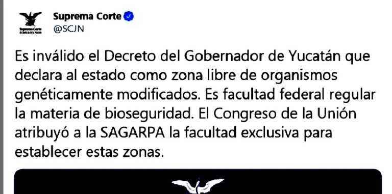 Texto, Twitter, Suprema Corte