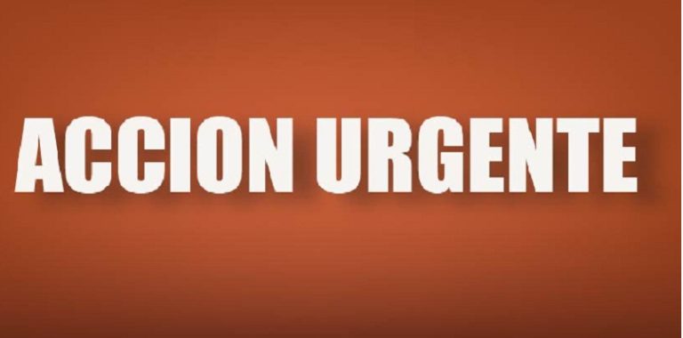 cartel acción urgente, chiapas