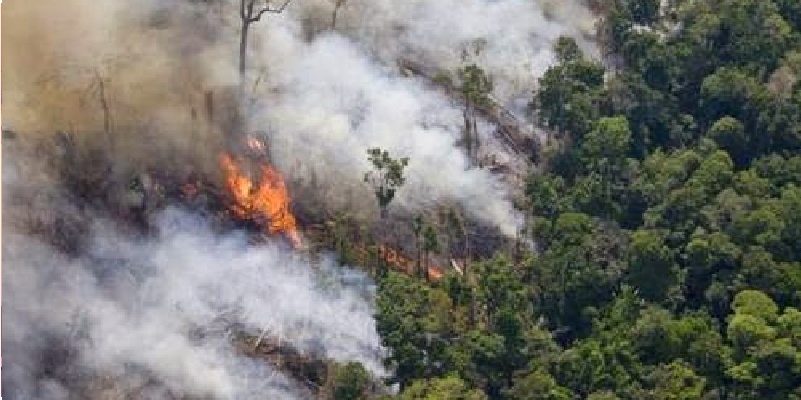 Amazonas en llamas