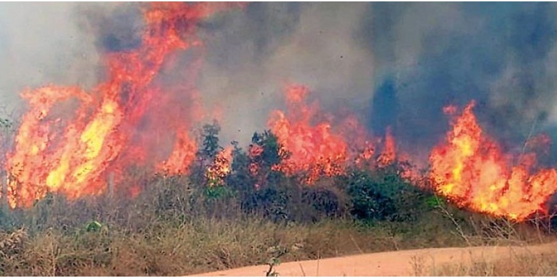 Amazonas en llamas