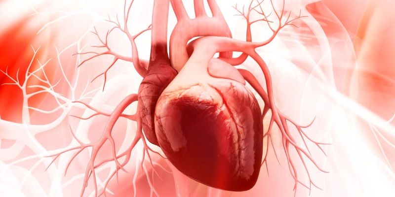 #DiaMundialDelCorazon: colesterol causa de ataques cardíacos