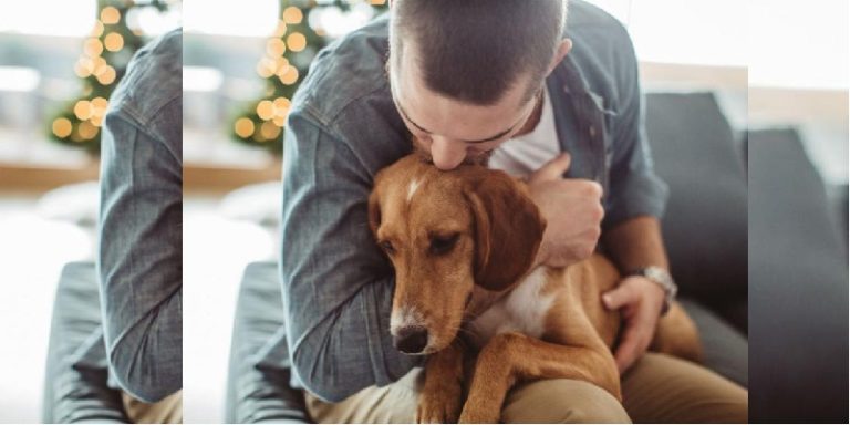 perros en Noruega con enfermedad no identificada