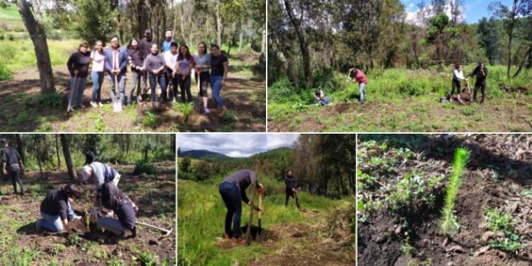 Jóvenes de Ixtapaluca realizan jornada de reforestación en Río Frío