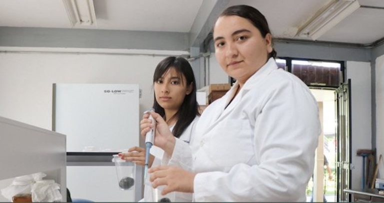 Investigadoras de Morelia crean bioplaguicida para hongos del aguacate