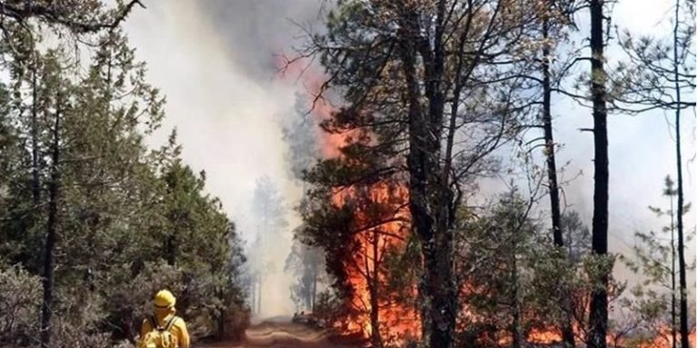 California, incendios