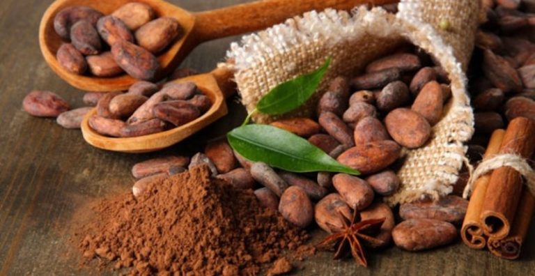 Congreso proclaman Día Nacional del Cacao y el Chocolate
