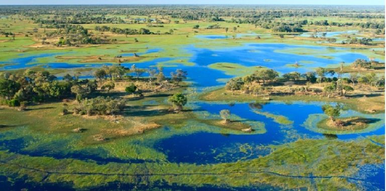 Humanidad, orígenes al sur de África