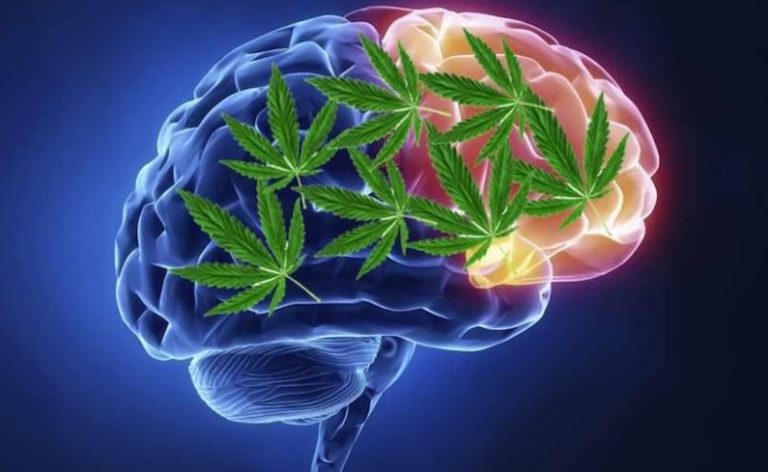 marihuana