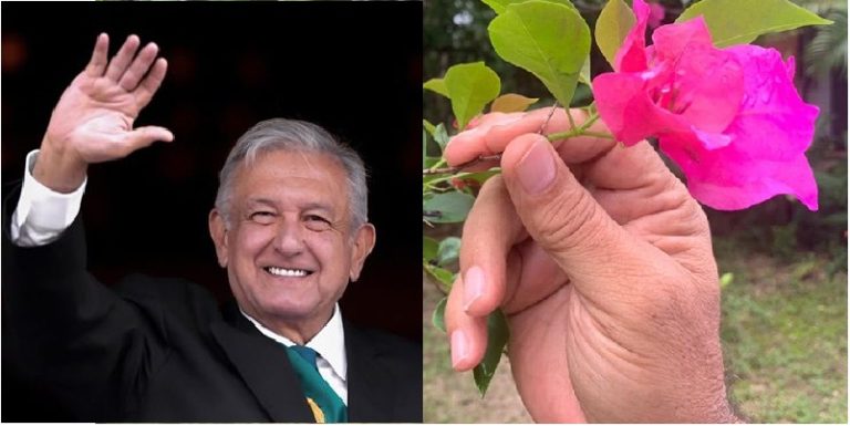 AMLO, democracia y la Fábula de las ranas