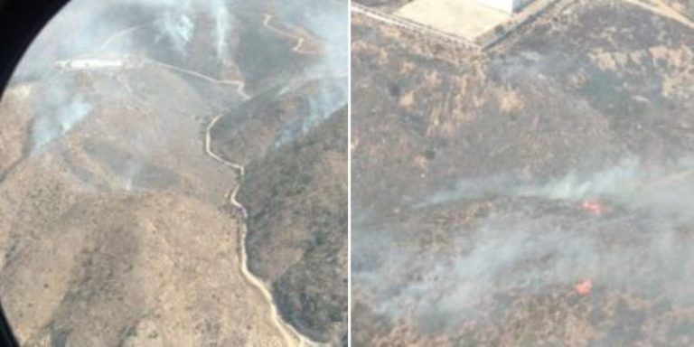 Conafor reporta liquidados incendios en Baja California