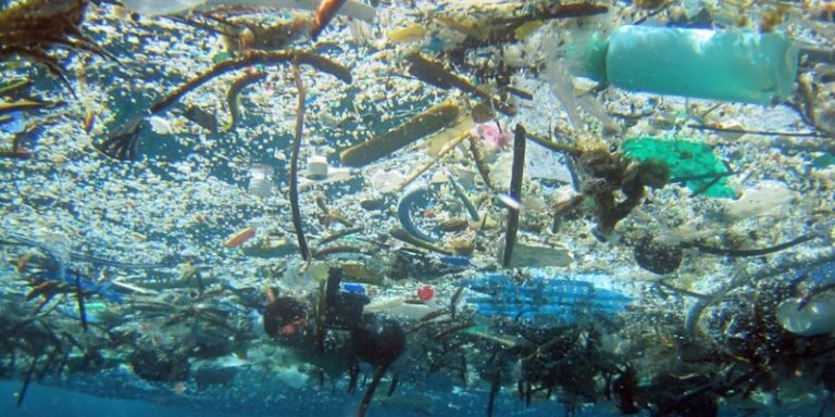 Contaminación de mares pondría en riesgo alimentación de millones