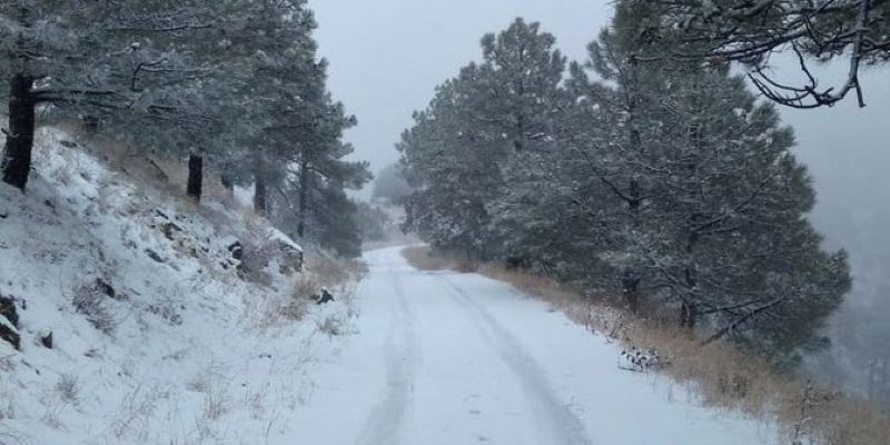 Cae primera nevada de la temporada en la Sierra Cananea, Sonora