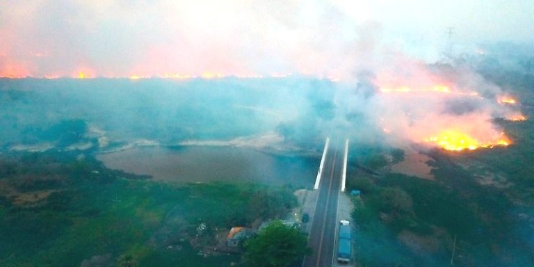 Brasil, incendio en Pantanal