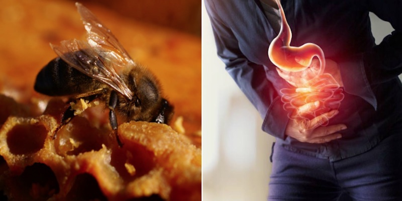 Propóleo de abejas para disminuir gastritis, mejor que omeprazol