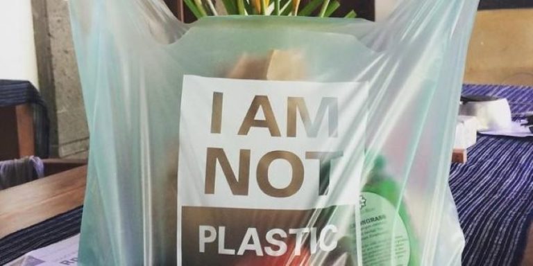 Bolsas biodegradables y de papel no frenan la contaminación