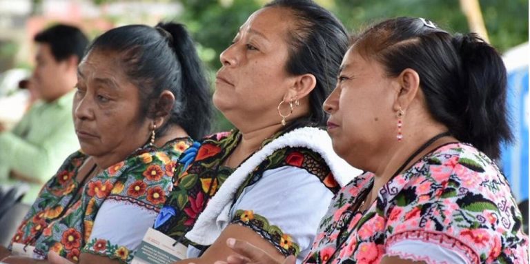 Tren Maya, la consulta