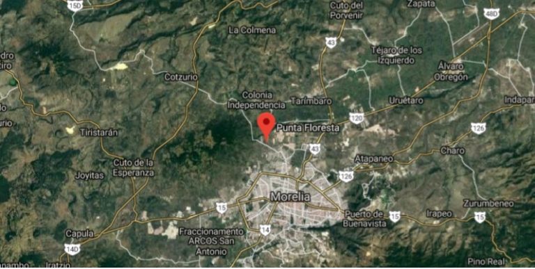 Morelia denuncian muerte de canes