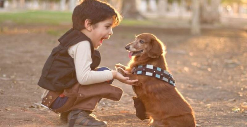 Tener una mascota durante la niñez disminuye riesgo de esquizofrenia