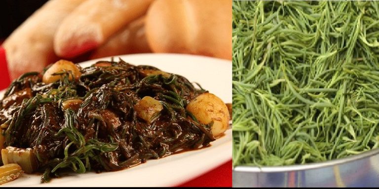 Romeritos mexicanos, la pura nutrición