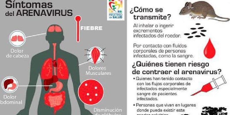 Brasil, investigan fiebre hemorrágica