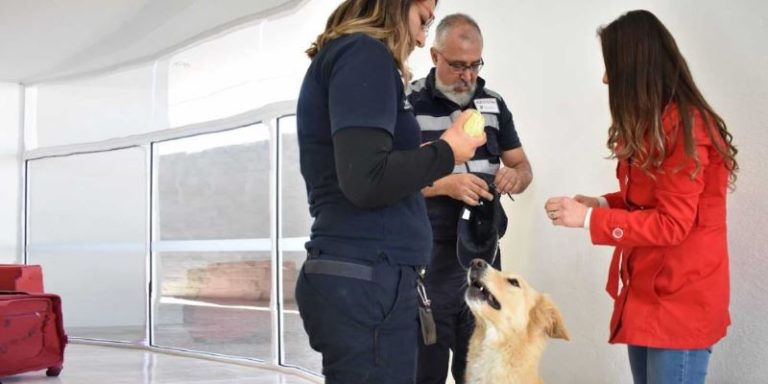Un centenar de binomios previenen entrada de plagas al país