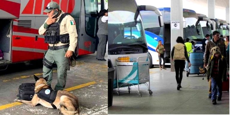 Pasajero seguro el objetivo