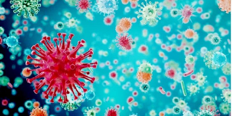 Alemania: Descubren nuevos virus