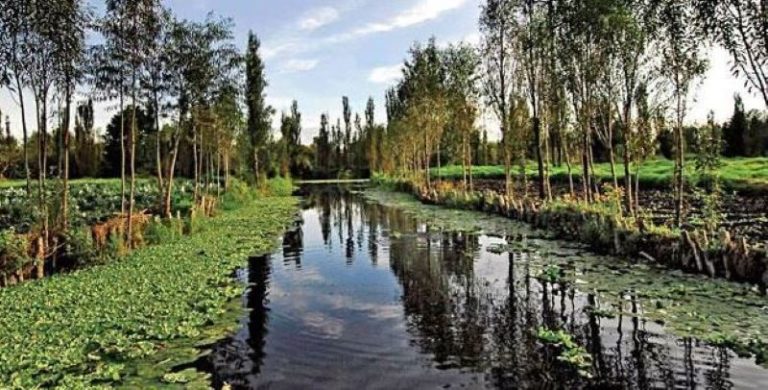 Humedales desaparecen a mayor velocidad que los bosques