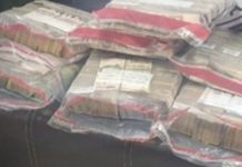 Guardia Nacional detiene a 2 personas, transportaban 16 millones de pesos