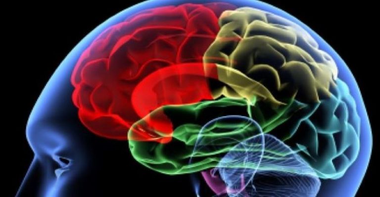 Riesgo de padecer demencia disminuye en personas bilingües