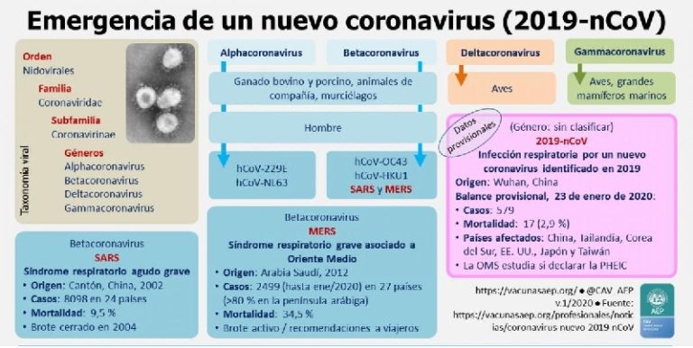 Salud informa sobre coronavirus