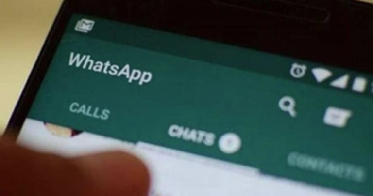 WhatsApp: la app familiar, 77 millones de mexicanos la usan