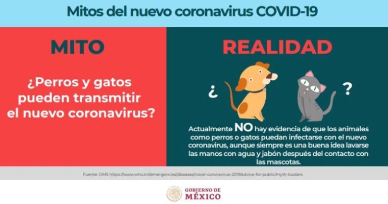Salud informa sobre los mitos y realidades del Covid-19