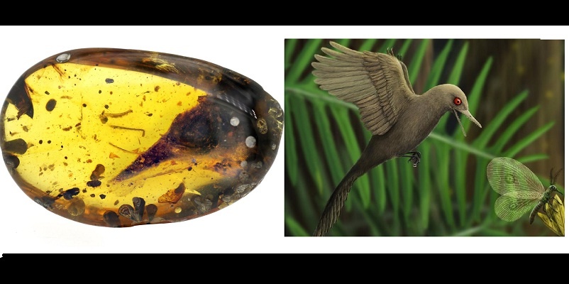 Dinosaurio del tamaño de un colibrí