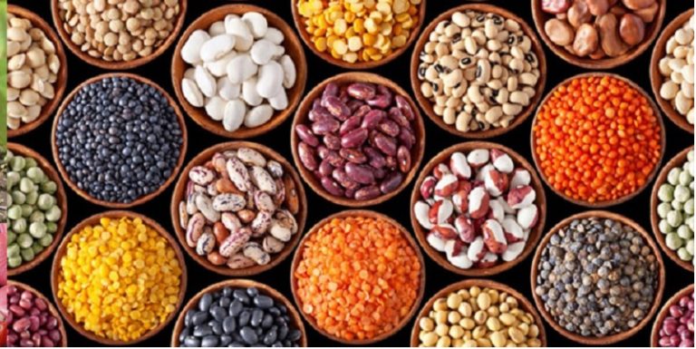 Frijol: promover su producción y consumo en México