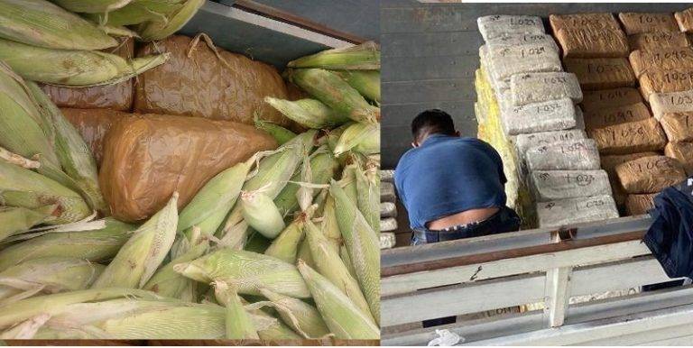 Guardia Nacional, elotes