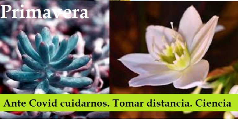 Primavera, México, 2020