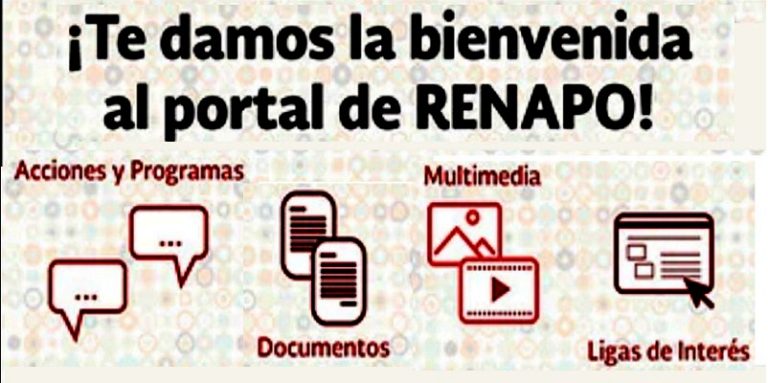 Renapo por internet