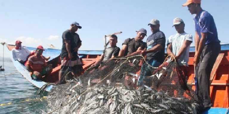 Vaquita marina, embargo ampliado