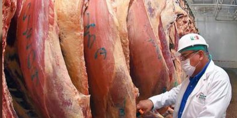 Regulación del mercado de animales: OMS