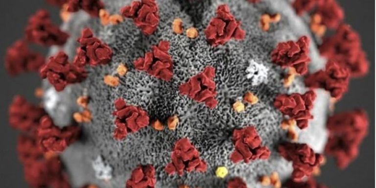 Investigadores mexicanos revelan detalles sobre el genoma del Covid-19